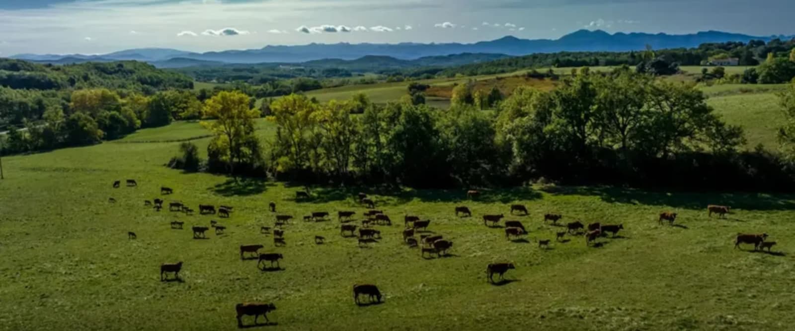 Paysage des Pyrénées ariégeoises vu depuis le Domaine de la Trille