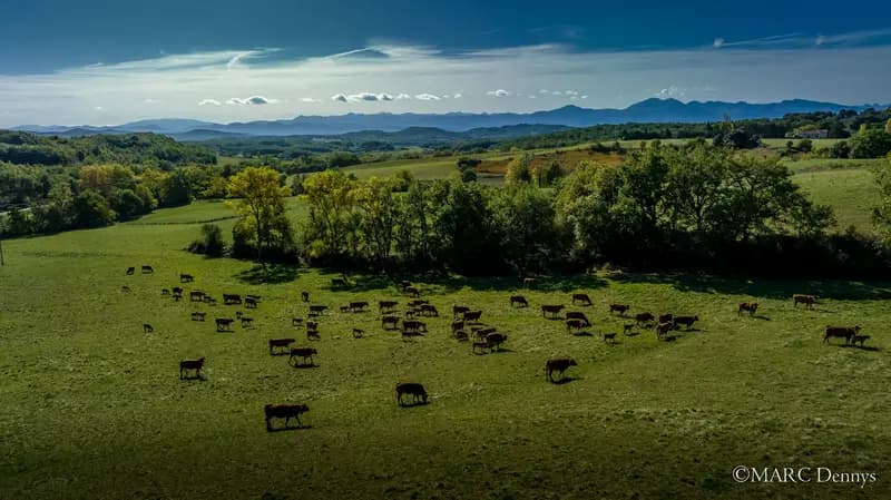 Paysage sauvage des Pyrénées ariégeoises, habitat naturel de l'ours et de l'isard
